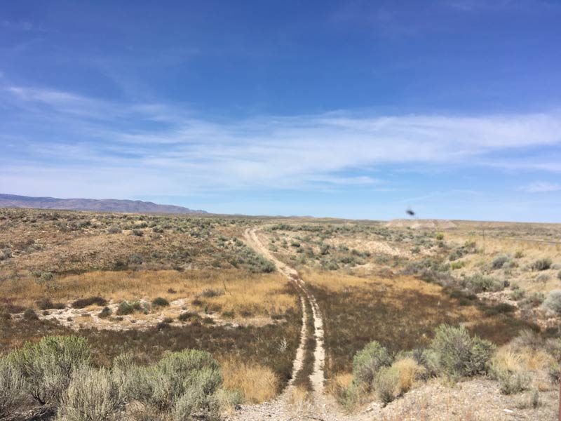 Wagon trail ruts from the Oregon Trail