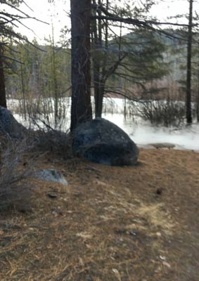 Ice on a frozen Marsh at SE Lake Tahoe