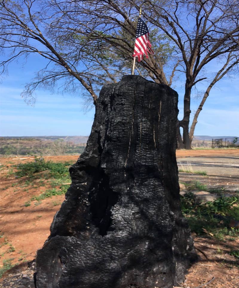 A burned tree stump in Paradise, California with an American flag on top