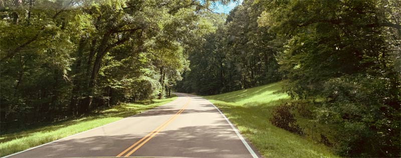 Beautiful Natchez Trace in Mississippi