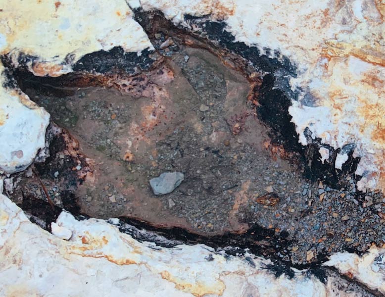 Dinosaur footprint near Clayton, New Mexico.