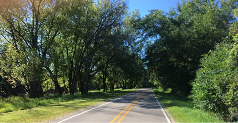 Nice road in Northern Illinois for an early morning Sunride