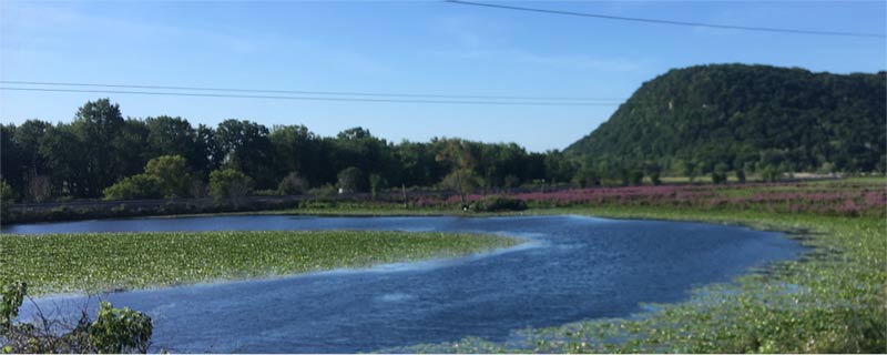 Mississippi River in Minnesota