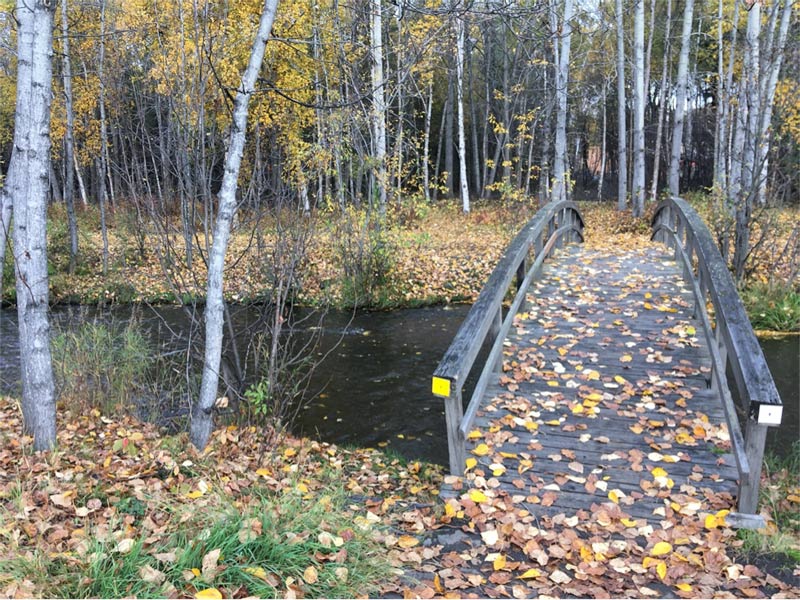 Crossing this bridge near my hotel gives access to the vast bike trail system around Anchorage. It’s two miles to downtown.