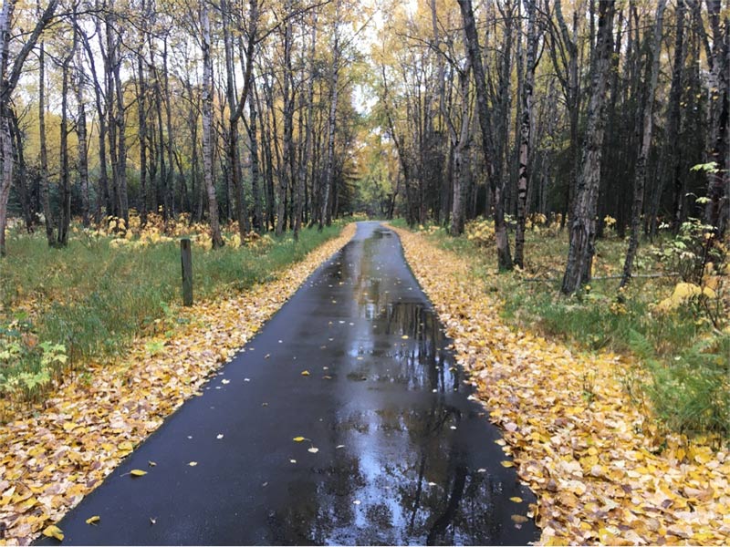 Coastal Trail, Anchorage, Alaska