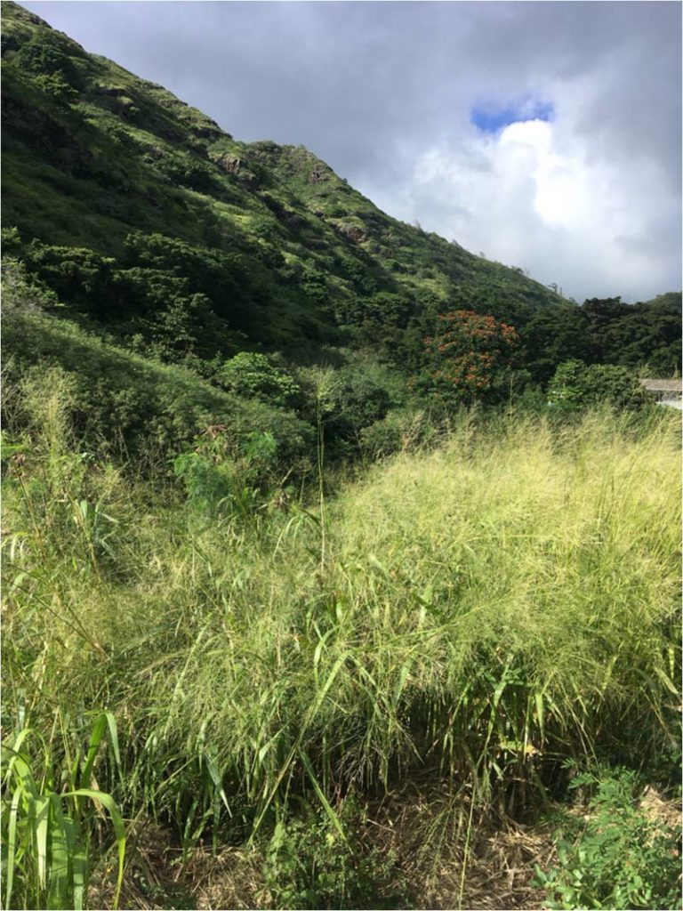 My last ride outside the city took me up two verdant and lush canyons.