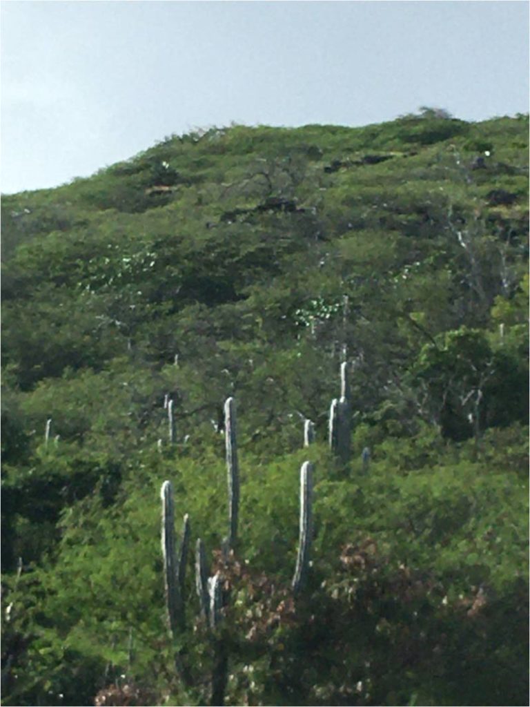 My last ride outside the city took me up two verdant and lush canyons. I even saw cactus.