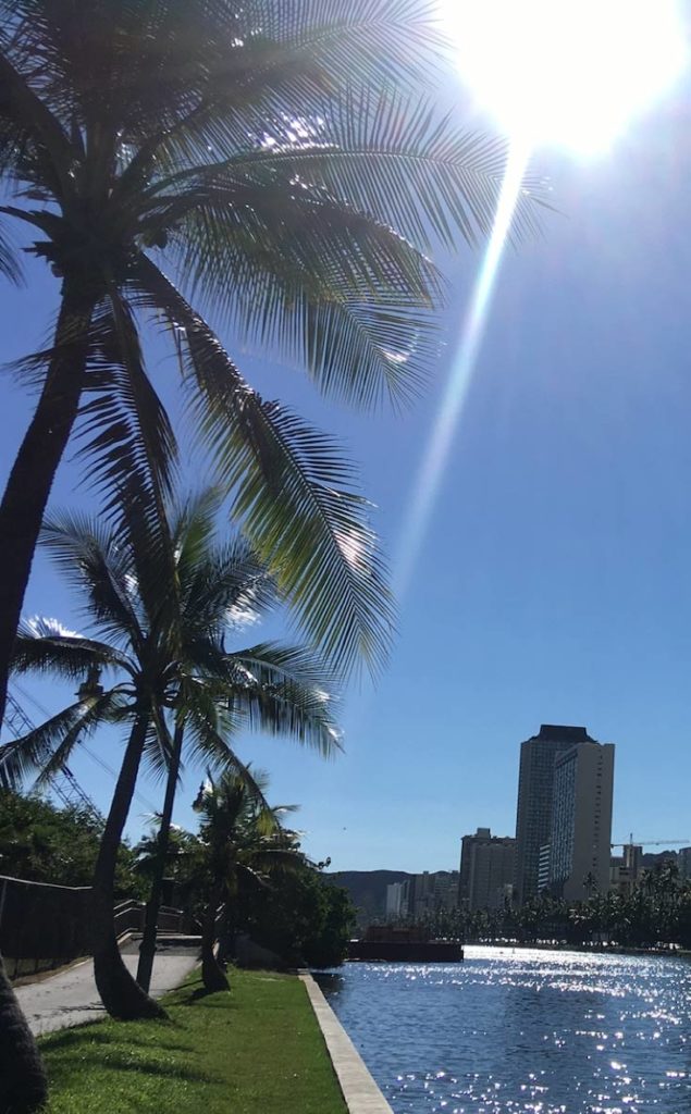 Bike trail flanked with palm trees along a river with high rise buildings in the background